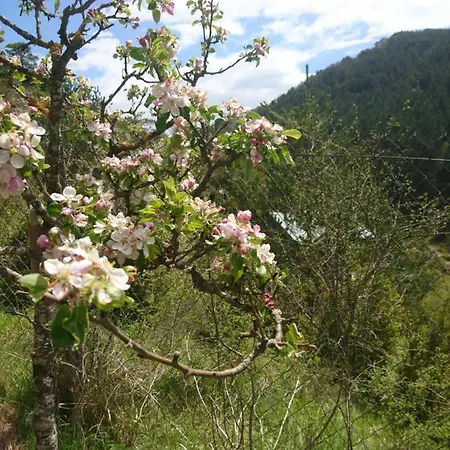 Apartmán Casa Turreta Ansó