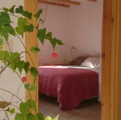 Casa Turreta Apartment Anso