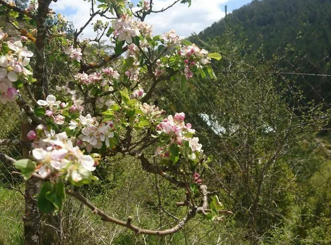 Lägenhet Casa Turreta Ansó